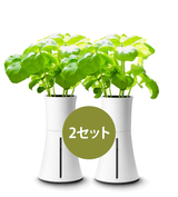 BOTANIUM 2セット (当サイト限定)
